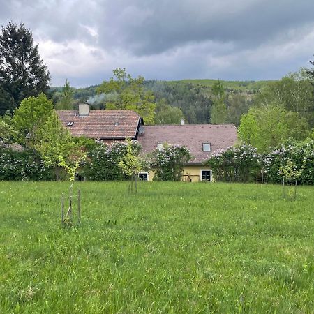 Bed&Breakfast Im Gruenen Nah An Wien Brettwies Buitenkant foto