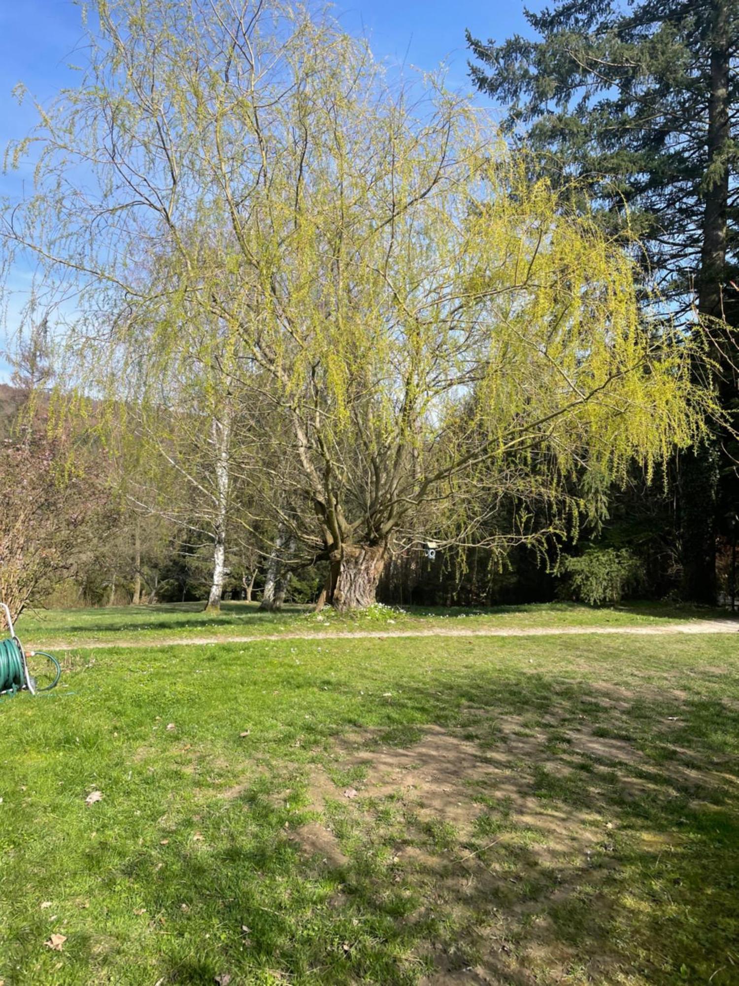 Bed&Breakfast Im Gruenen Nah An Wien Brettwies Buitenkant foto